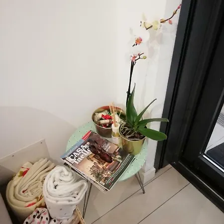 Art Apartment